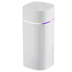 Dual-Nozzle Humidifier (USB) | 600ml/H Super Mist & Ultra Quiet | Moisturizing Device for Home/Car